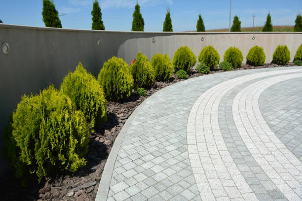 Best Driveway Pavers Near Me  in Hazel Crest, IL